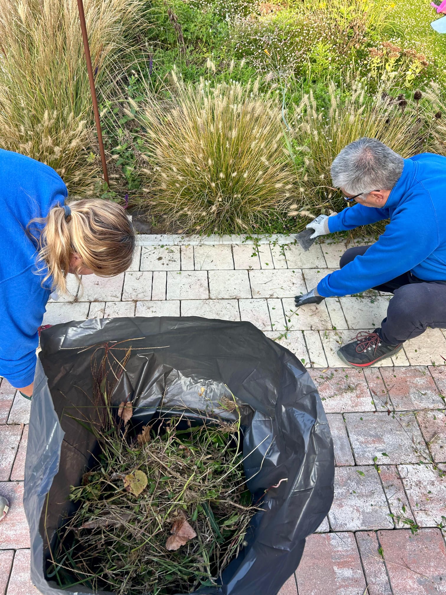 Activités de jardinage